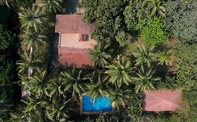 Stayvista At Shades Of Nature - The Hidden Gem